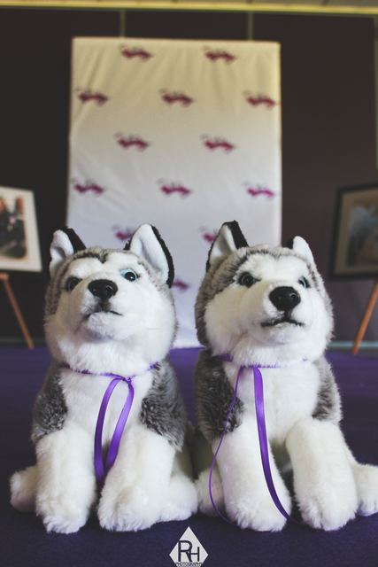 Photo 44 at A Dash of Purple 2018, the PAWS fundraising gala