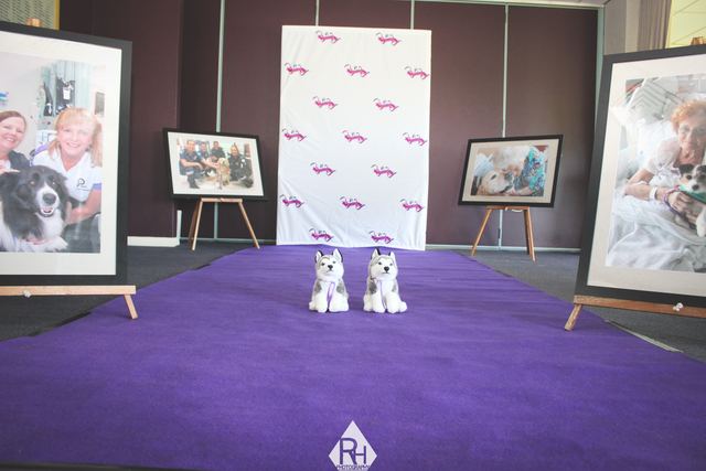 Photo 45 at A Dash of Purple 2018, the PAWS fundraising gala