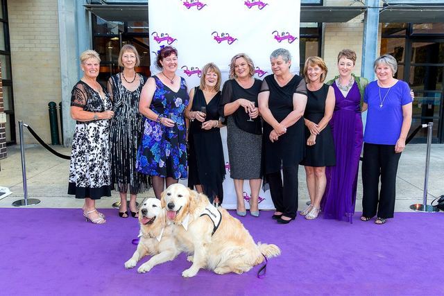 Photo 2 at A Dash of Purple, the PAWS fundraising gala