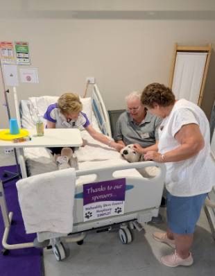 A PAWS therapy dog lying on the new training hospital bed beside a volunteer playing the patient, at a PAWS training day
