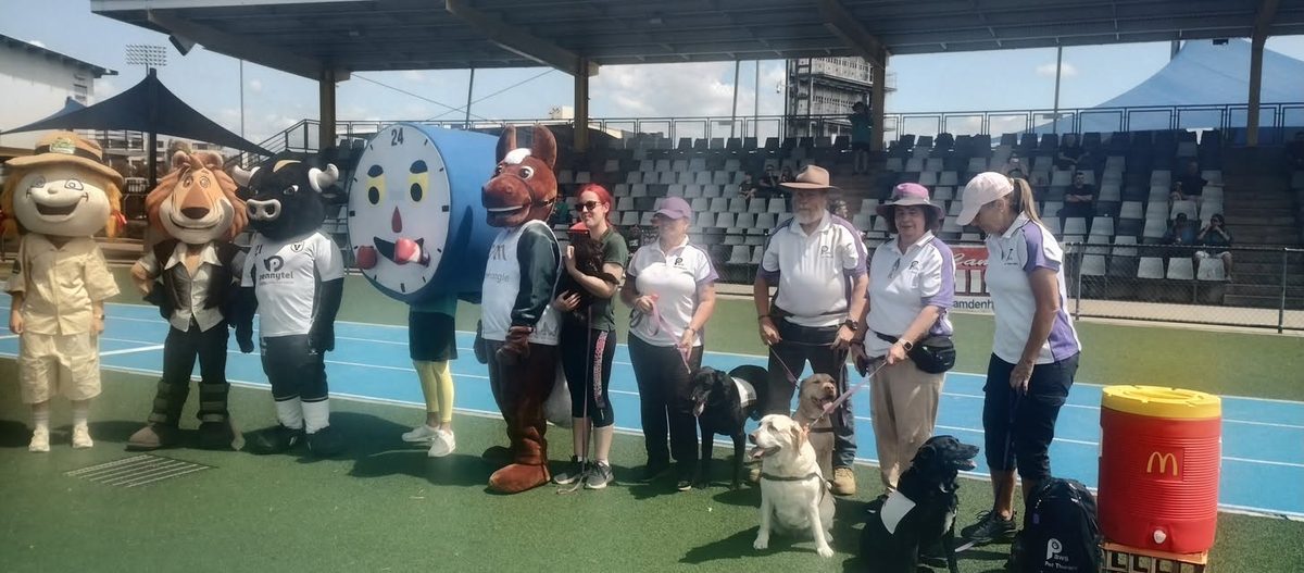 PAWS volunteers and their dogs lined up with costumed mascots on the track at the 24 Hour Walk Against Cancer in Campbelltown