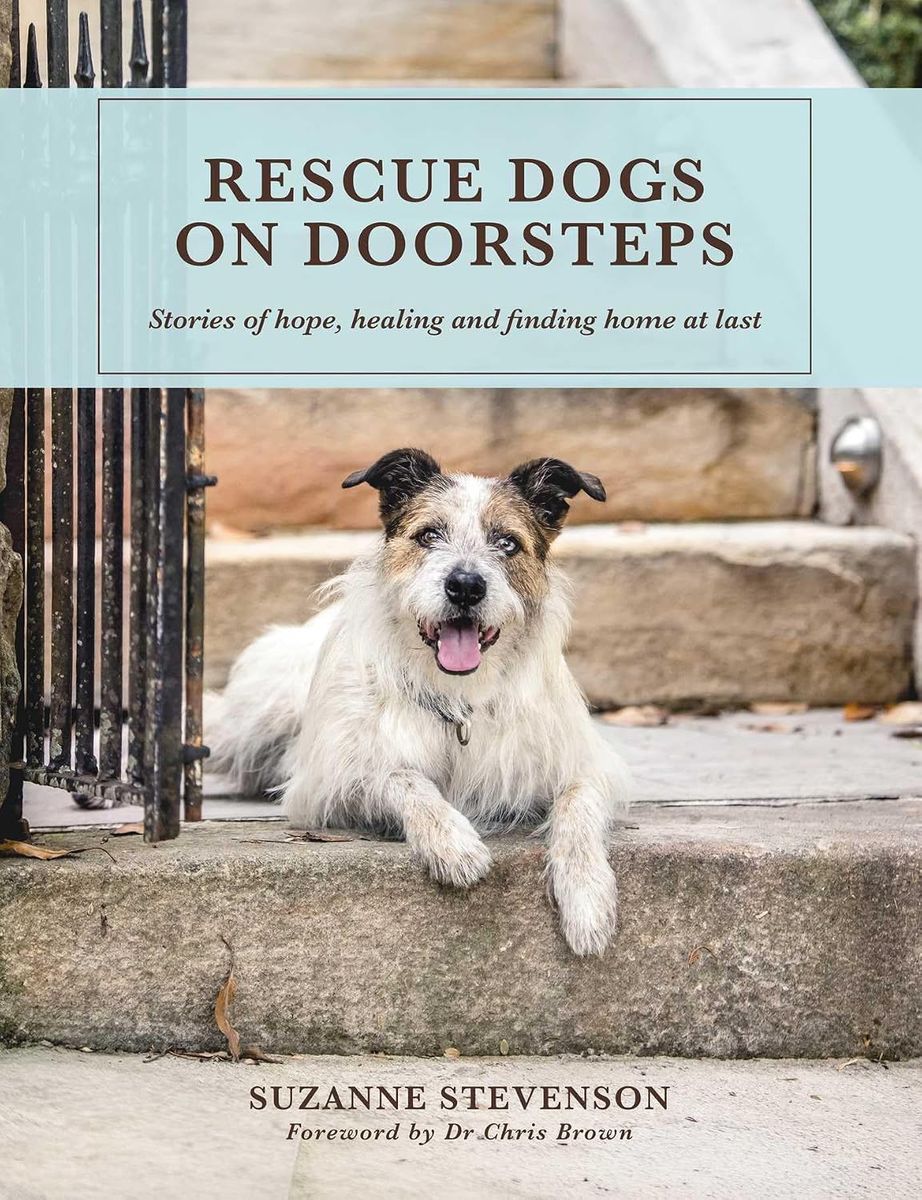 The cover of Rescue Dogs on Doorsteps by Suzanne Stevenson, showing a scruffy terrier sitting on a sandstone doorstep