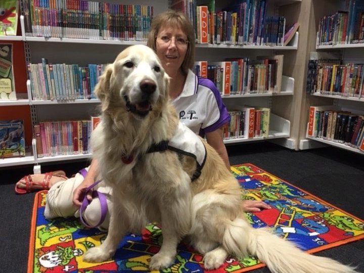 A PAWS dog visiting a school library