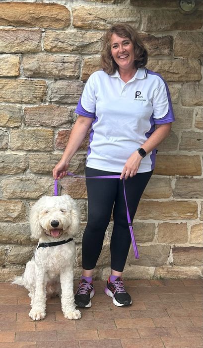 Christina and Dave, a PAWS volunteer team