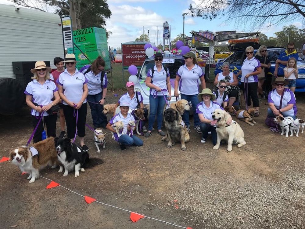 A line of PAWS volunteers in purple and white shirts with their therapy dogs at an outdoor community event